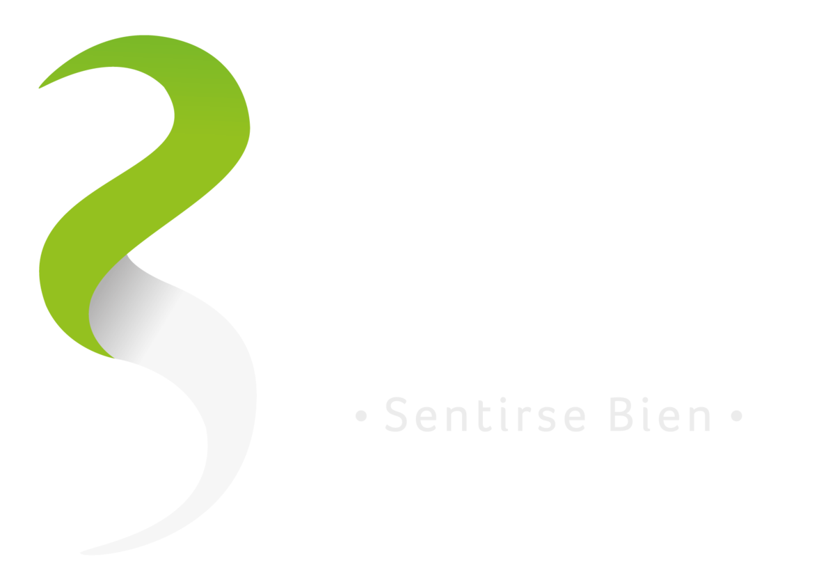 Baysi Logo